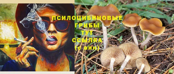 стафф Вязники