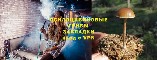 spice Вяземский