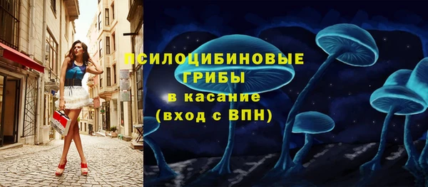 spice Вяземский