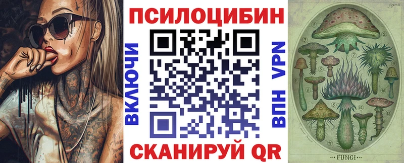 Галлюциногенные грибы Cubensis Махачкала