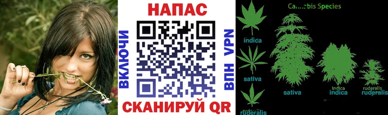 Каннабис MAZAR  где купить наркотик  Махачкала 